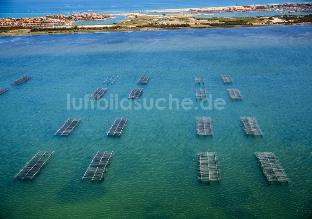 Luftaufnahme Leucate - Muschel- Zucht Reusen an der Küste in Leucate in Frankreich