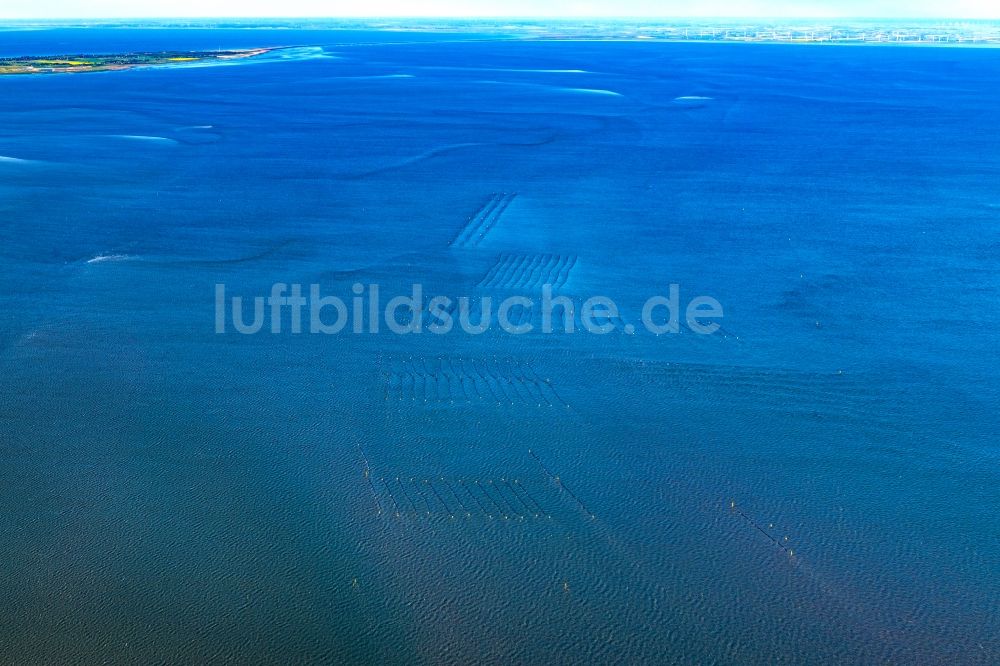 Hörnum (Sylt) von oben - Muschelzucht und Fangnetze an der Küste vor Hörnum (Sylt) im Bundesland Schleswig-Holstein, Deutschland