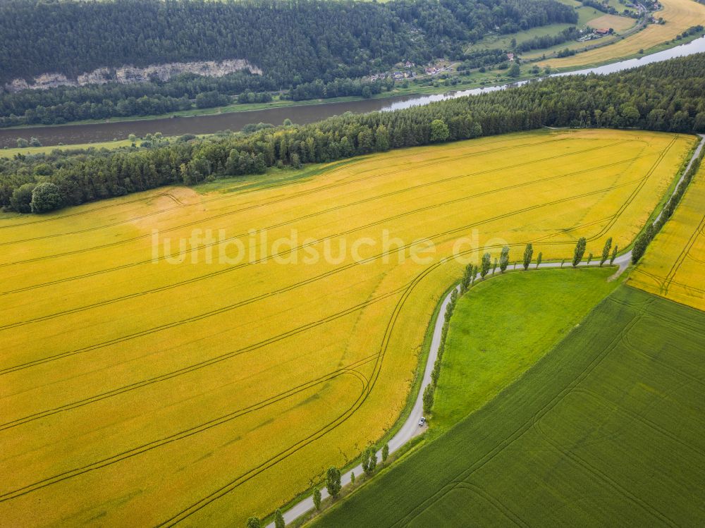 Luftbild Königstein - Napoleonallee am Lilienstein in Königstein im Bundesland Sachsen, Deutschland