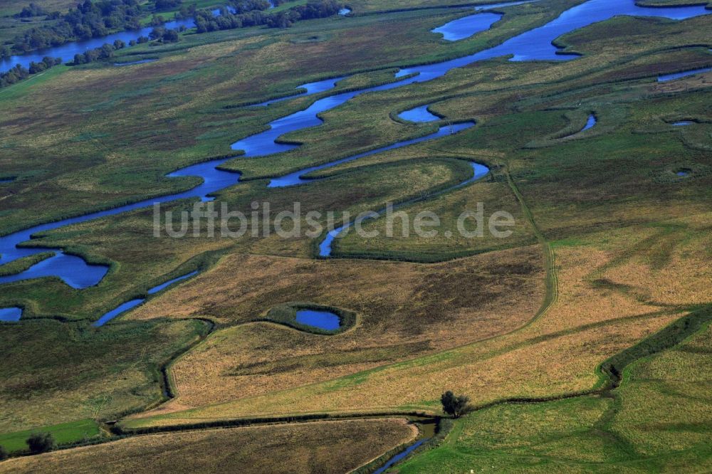 Luftbild Schwedt/Oder - Nationalpark Unteres Odertal bei Schwedt/Oder im Bundesland Brandenburg