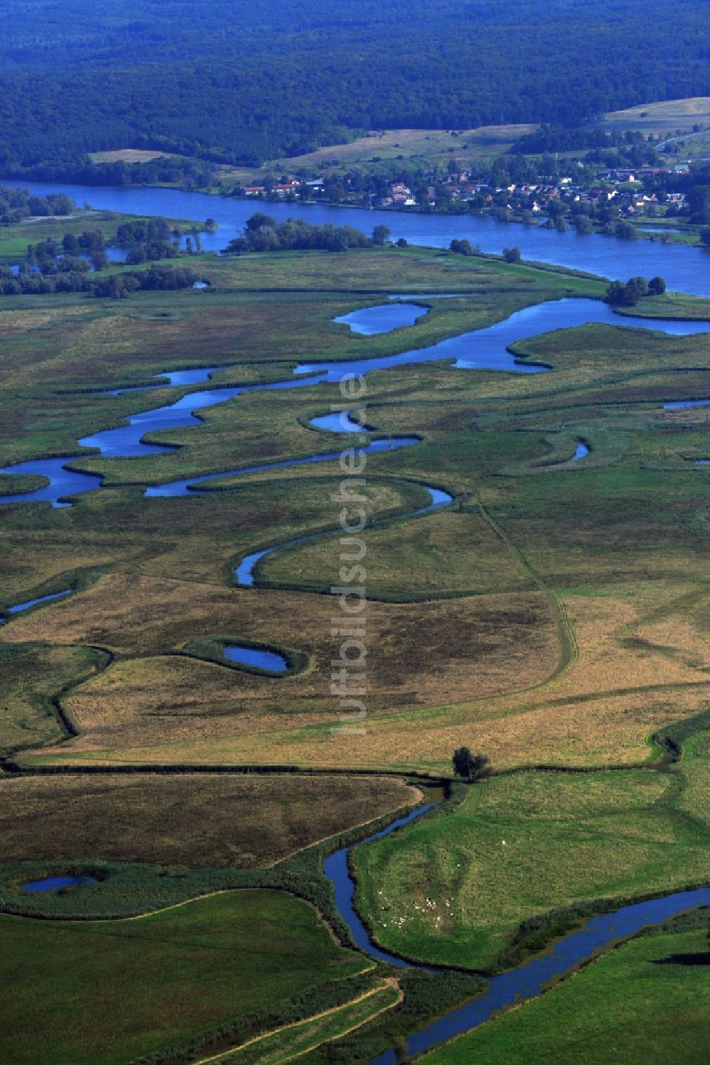 Schwedt/Oder von oben - Nationalpark Unteres Odertal bei Schwedt/Oder im Bundesland Brandenburg