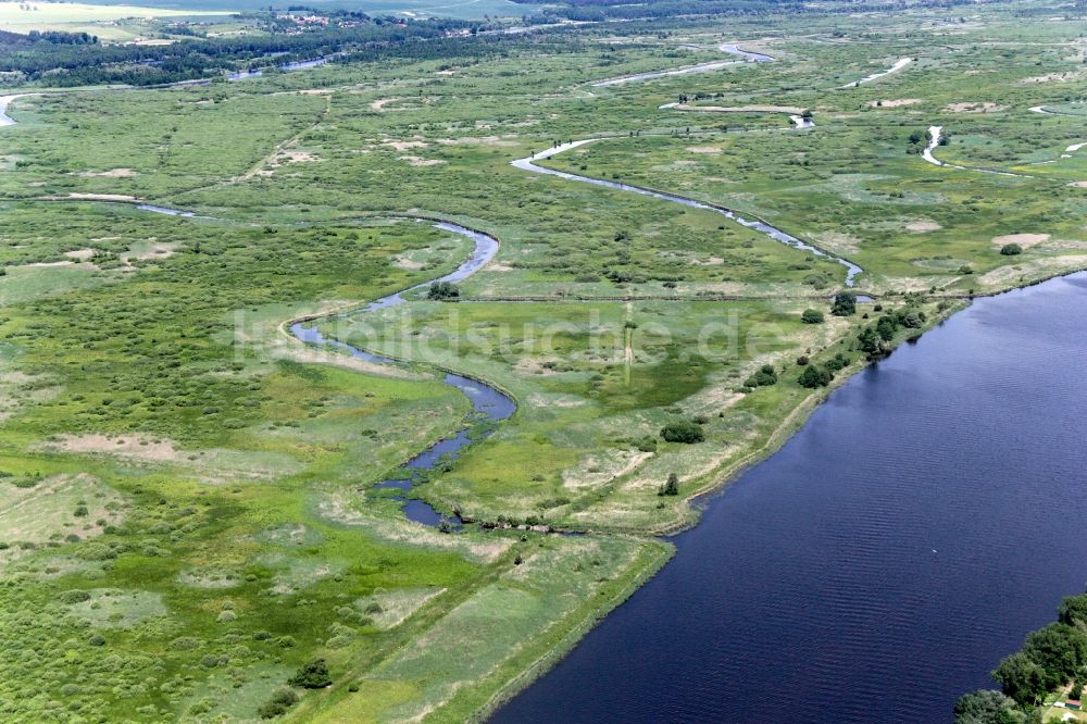 Luftaufnahme Gartz (Oder) - Nationalpark Unteres Odertal bei Schwedt/Oder im Bundesland Brandenburg