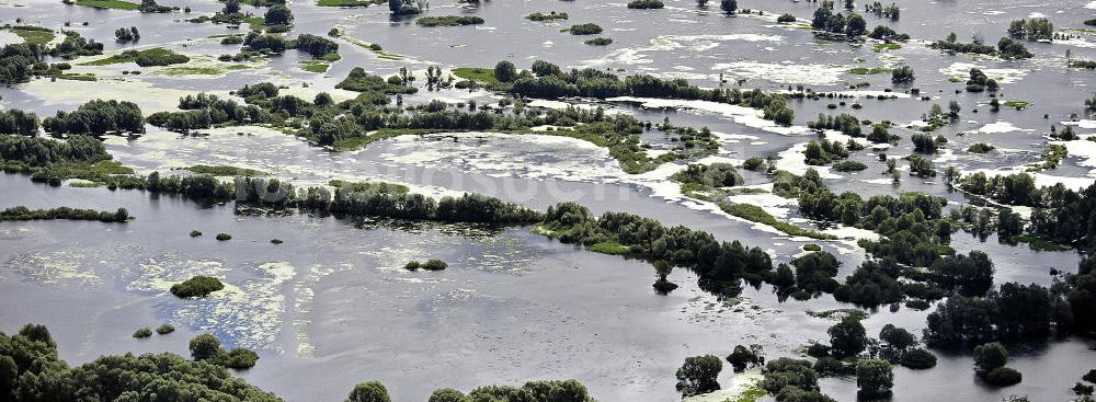 Kostrzyn / Küstrin aus der Vogelperspektive: Nationalpark Warthemündung