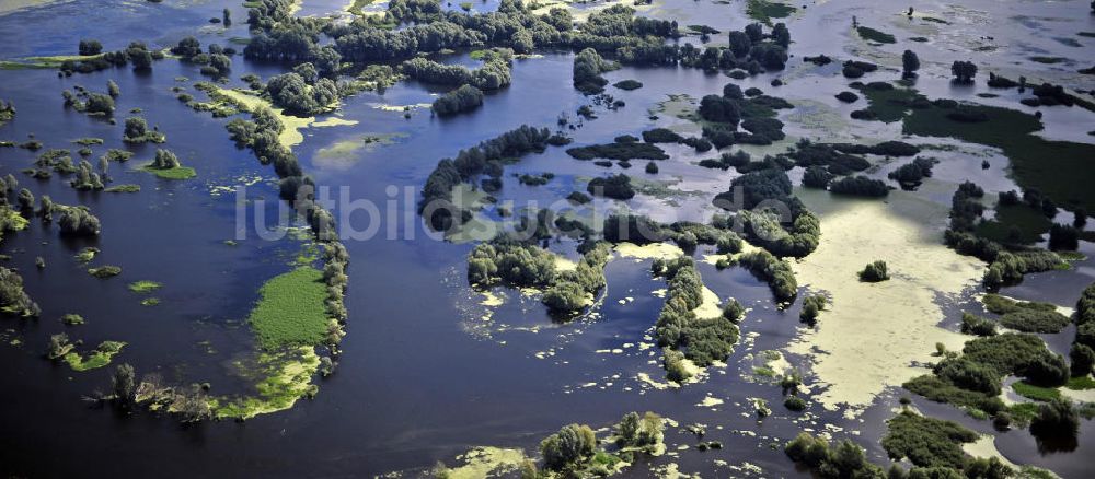 Kostrzyn / Küstrin von oben - Nationalpark Warthemündung