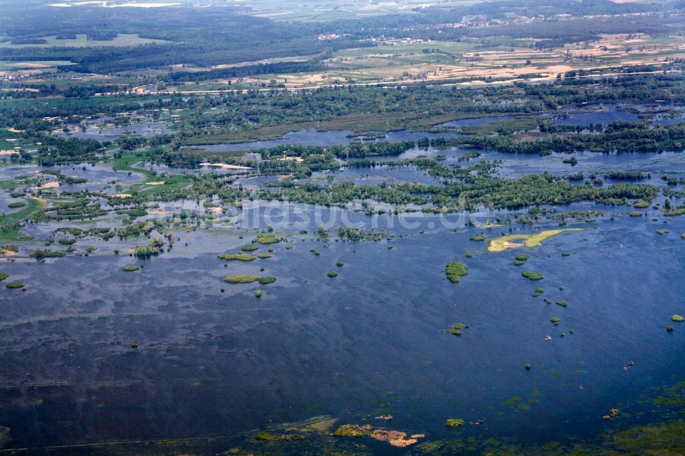 Luftaufnahme Küstrin / Kostrzyn - Nationalpark Warthemündung / Park Narodowy Ujscie Warty