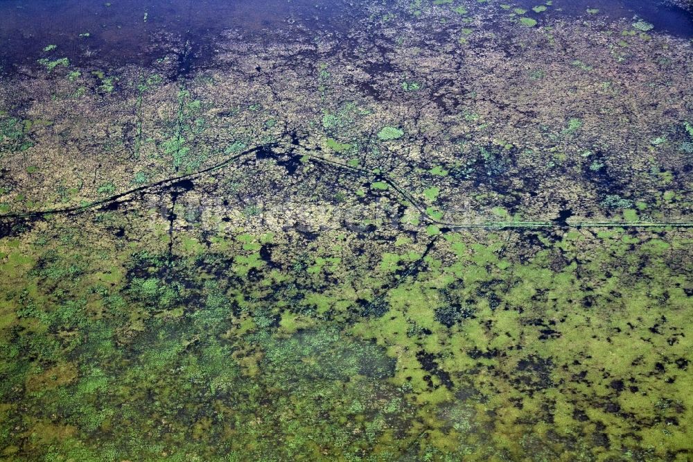 Küstrin / Kostrzyn von oben - Nationalpark Warthemündung / Park Narodowy Ujscie Warty