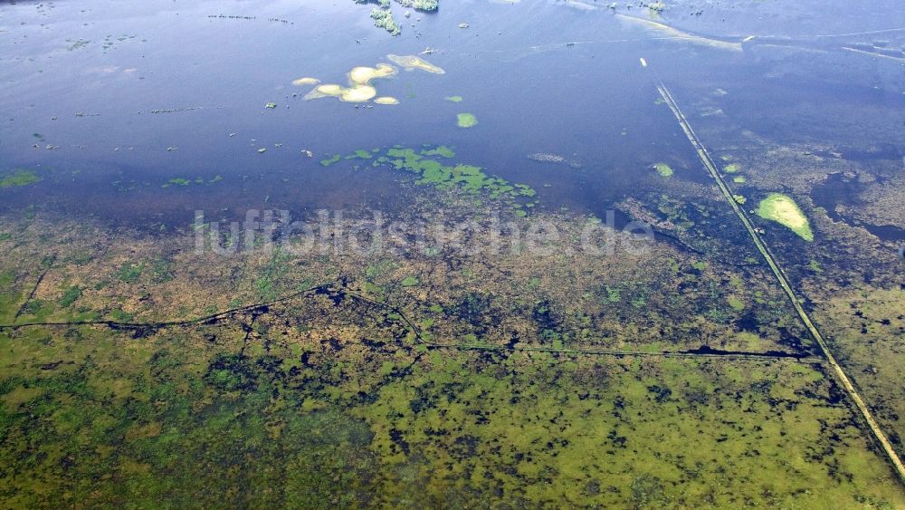 Küstrin / Kostrzyn aus der Vogelperspektive: Nationalpark Warthemündung / Park Narodowy Ujscie Warty