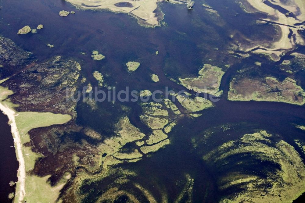 Küstrin / Kostrzyn aus der Vogelperspektive: Nationalpark Warthemündung / Park Narodowy Ujscie Warty