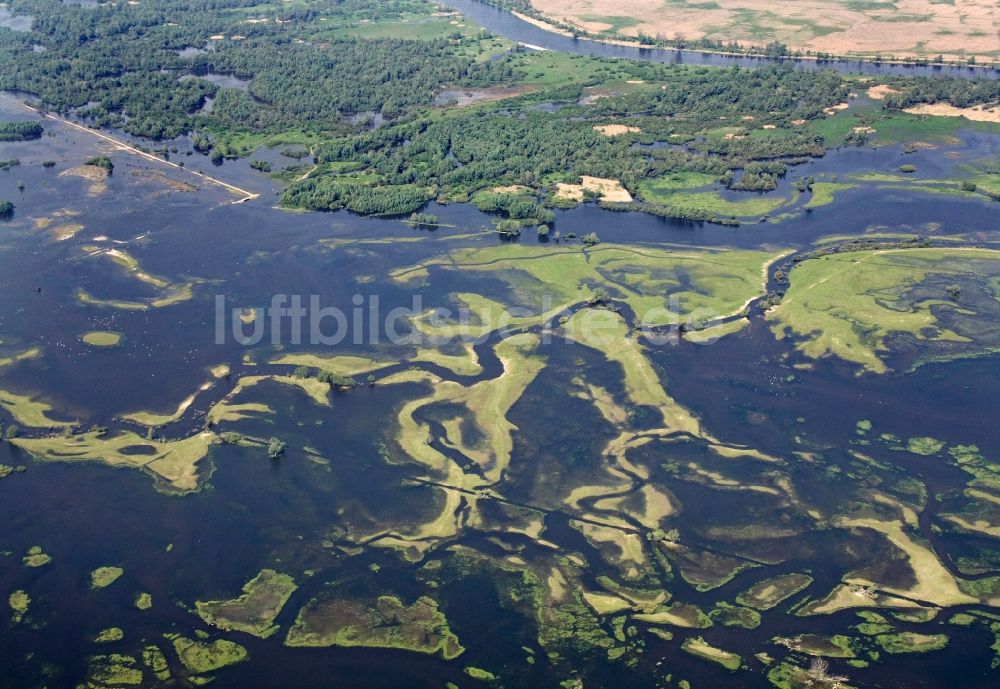 Luftbild Küstrin / Kostrzyn - Nationalpark Warthemündung / Park Narodowy Ujscie Warty