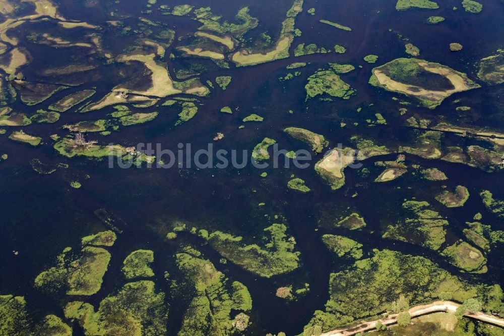 Luftaufnahme Küstrin / Kostrzyn - Nationalpark Warthemündung / Park Narodowy Ujscie Warty