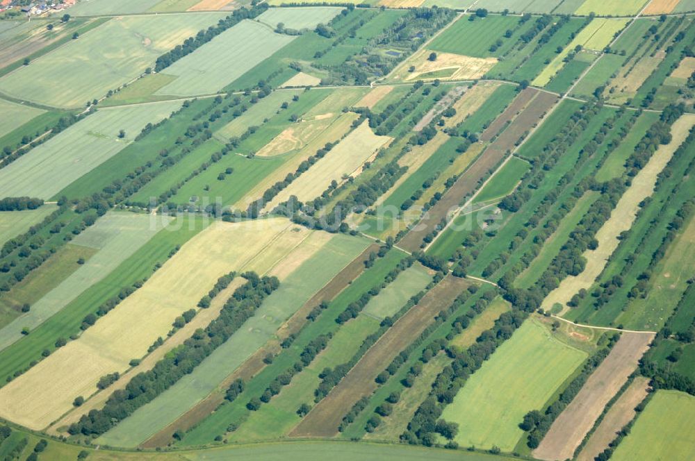 Wendewisch aus der Vogelperspektive: Naturpark Elbhöhen-Wendland im Landkreis Lüneburg in Niedersachsen