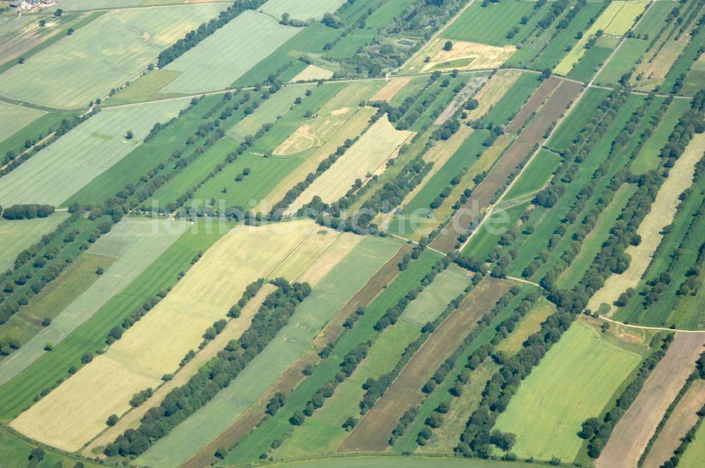 Luftbild Wendewisch - Naturpark Elbhöhen-Wendland im Landkreis Lüneburg in Niedersachsen