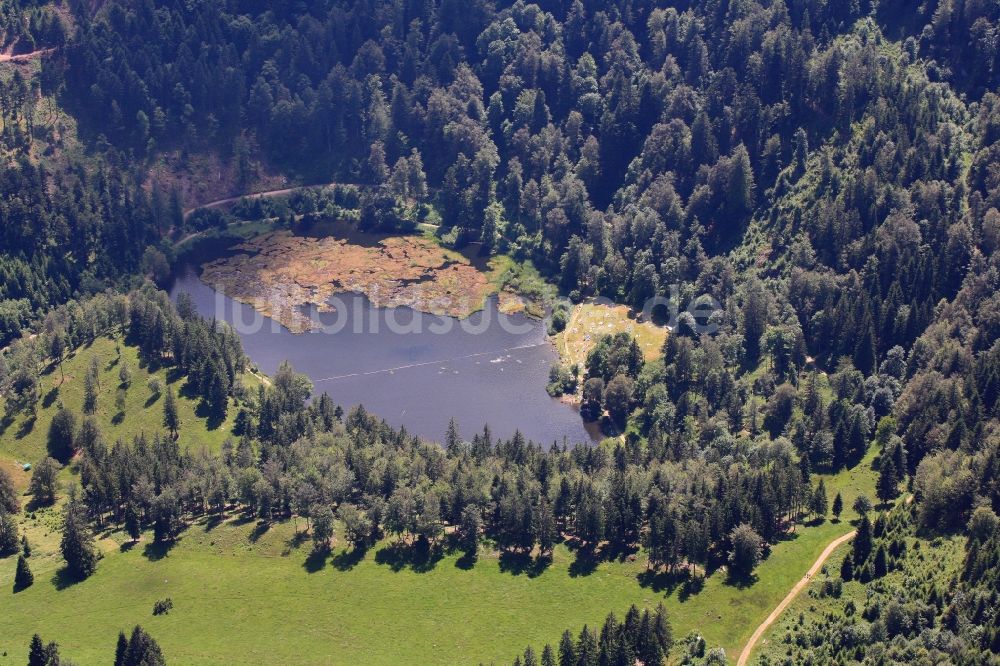 Luftaufnahme Kleines Wiesental - Naturschutzgebiet und Badesee Nonnenmattweiher in Kleines Wiesental im Bundesland Baden-Württemberg