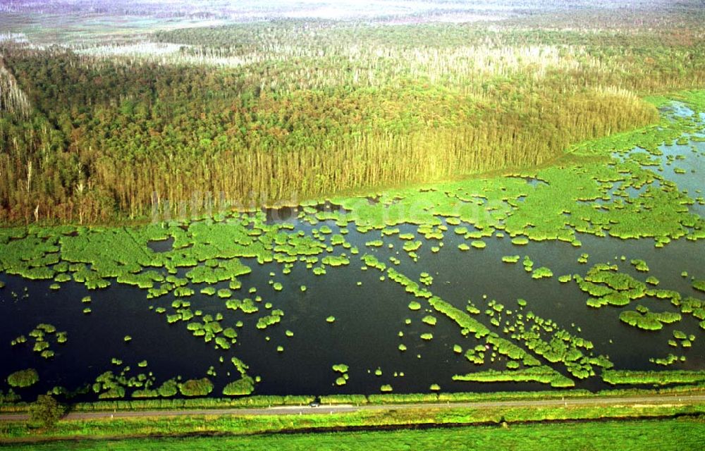 Luftbild westlich von Zecherin auf Usedom in MV - Naturschutzgebiet bei Zecherin an der südlichen Seite der Insel Usedom in Mecklenburg - Vorpommern - 31.08.2002