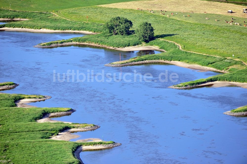 Luftaufnahme Wartenburg - Naturschutzgebiet Elbetal in Sachsen Anhalt