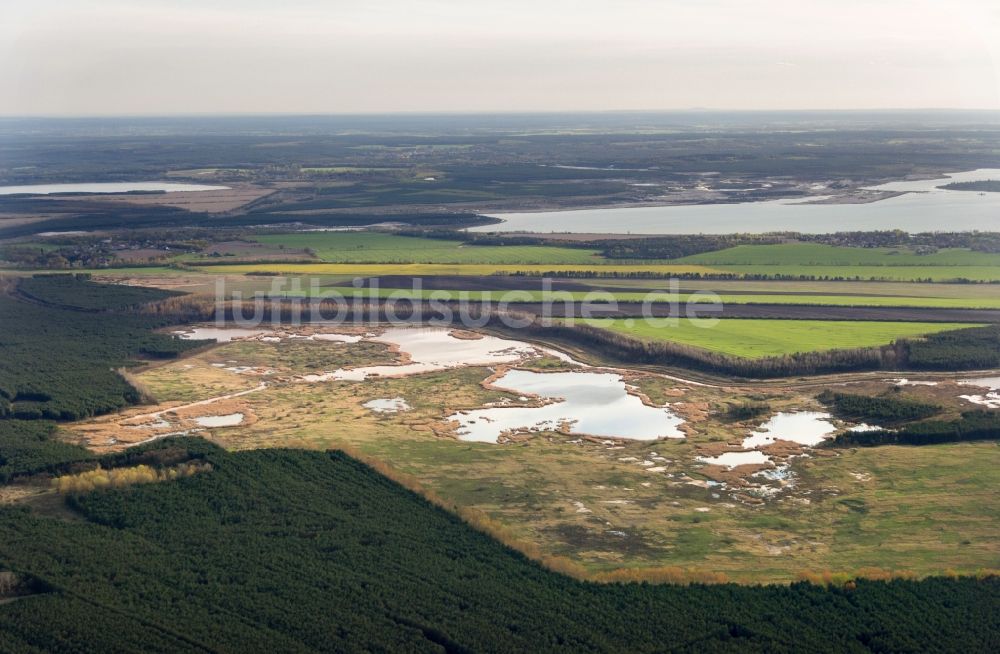 Calau von oben - Naturschutzgebiet Feuchtgebiet Tornower Niederung bei Calau im Bundesland Brandenburg