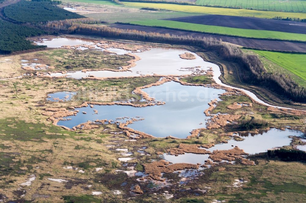 Calau aus der Vogelperspektive: Naturschutzgebiet Feuchtgebiet Tornower Niederung bei Calau im Bundesland Brandenburg