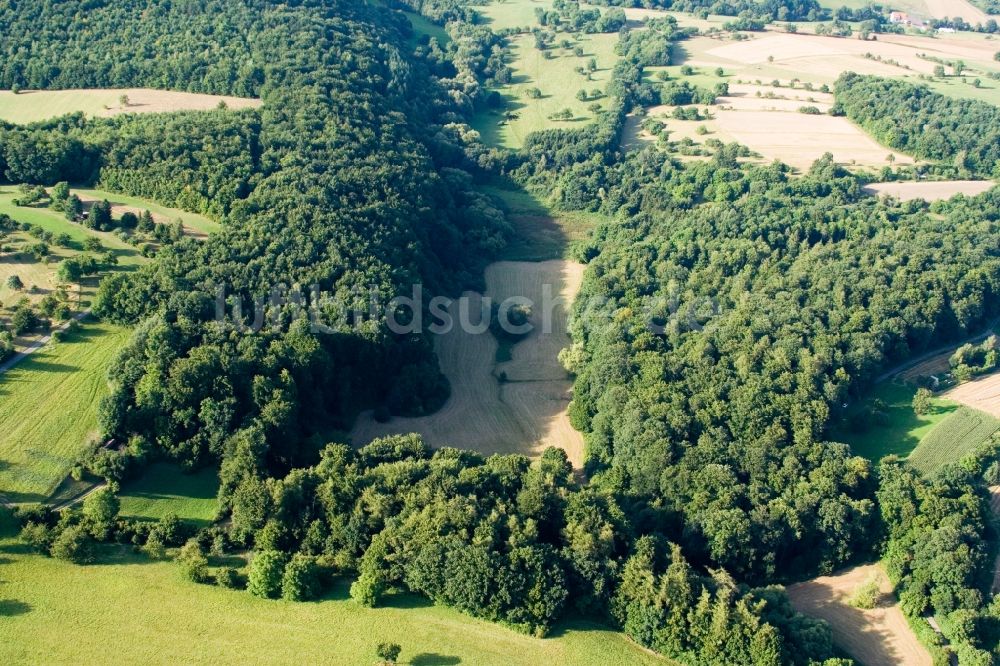 Birkenfeld aus der Vogelperspektive: Naturschutzgebiet Kettelbachtal in Birkenfeld im Bundesland Baden-Württemberg