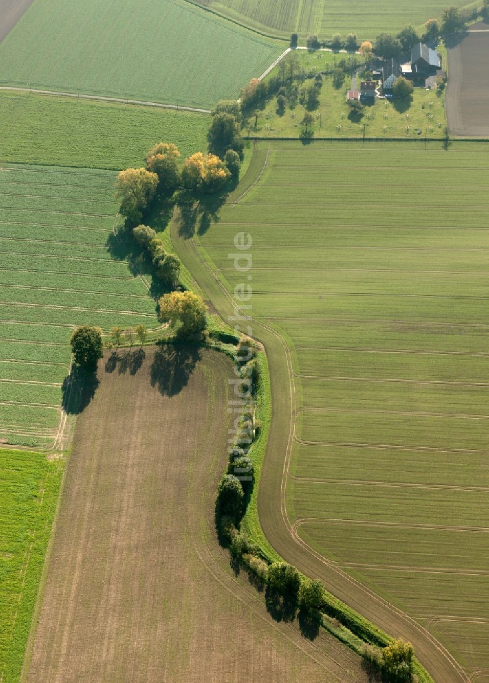 Hamm von oben - Naturschutzgebiet Lippewiesen bei Hamm im Bundesland Nordrhein-Westfalen