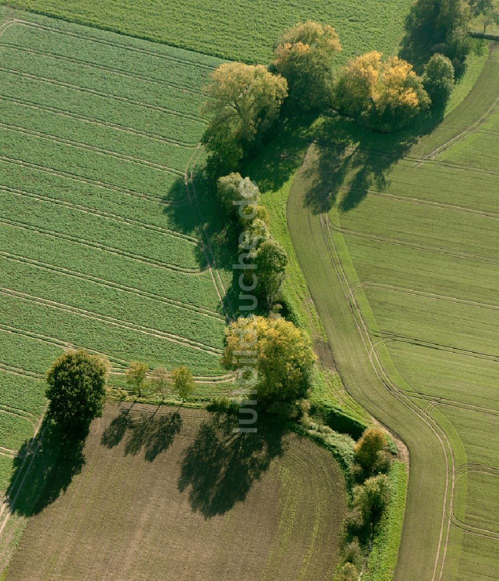 Hamm aus der Vogelperspektive: Naturschutzgebiet Lippewiesen bei Hamm im Bundesland Nordrhein-Westfalen