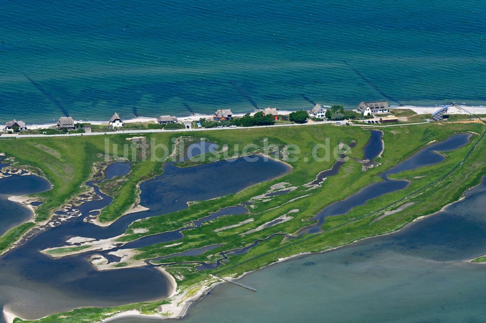 Luftbild Heiligenhafen - Naturschutzgebiet & NABU Zentrum Graswarder in Heiligenhafen im Bundesland Schleswig-Holstein, Deutschland