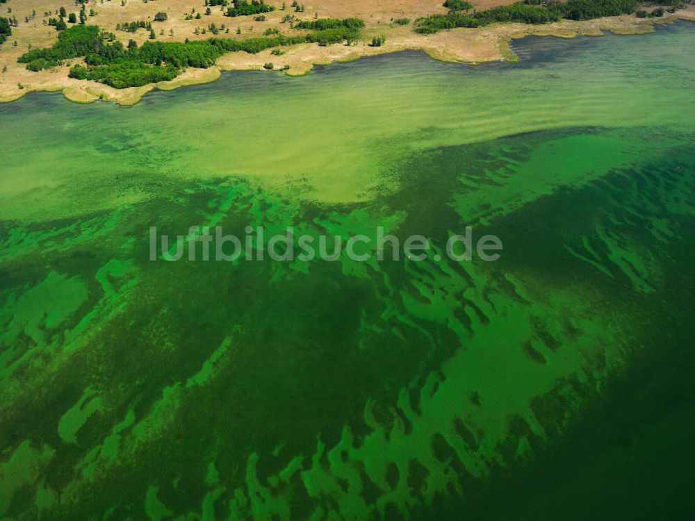 Waren / Müritz aus der Vogelperspektive: Naturschutzgebietes Müritz- Nationalpark