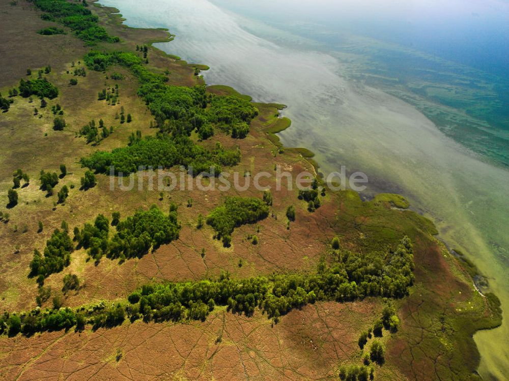 Luftaufnahme Waren / Müritz - Naturschutzgebietes Müritz- Nationalpark