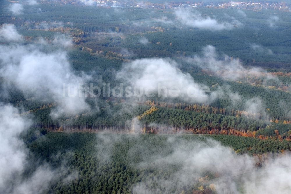 Luftbild Alt Rüdersdorf - Nebel- Wolken über herbstlich bunt gefärbten Laubbaum- Baumspitzen in einem Waldgebiet in Alt Rüdersdorf im Bundesland Brandenburg