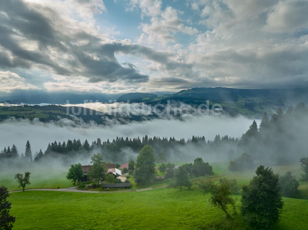 Irsengund aus der Vogelperspektive: Nebel- und Wolken- Schicht über Wald- und Wiesenlandschaft in Irsengund im Bundesland Bayern, Deutschland