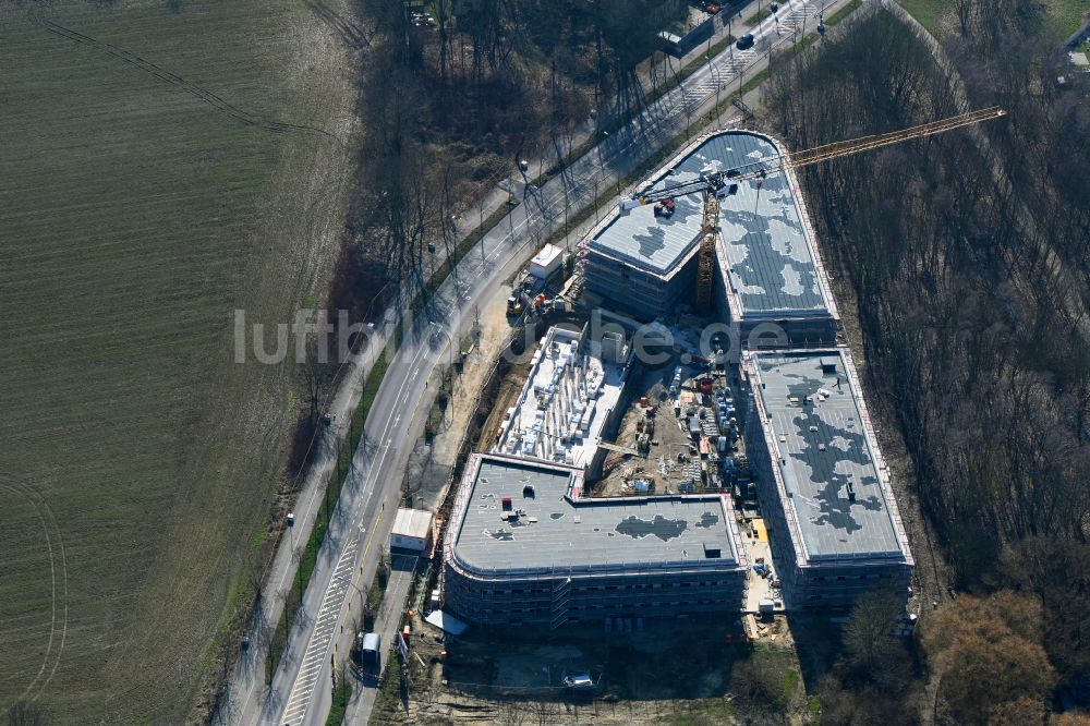 Berlin von oben - Neubau- Baustelle im Gewerbegebiet Karo Neun im Ortsteil Blankenburg in Berlin, Deutschland