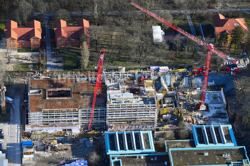 Berlin von oben - Neubau- Baustelle für ein Rehabilitationszentrum der Rehaklinik im Ortsteil Marzahn in Berlin, Deutschland