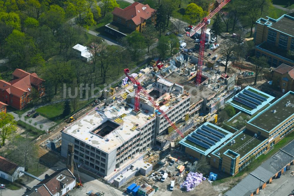 Berlin von oben - Neubau- Baustelle für ein Rehabilitationszentrum der Rehaklinik im Ortsteil Marzahn in Berlin, Deutschland