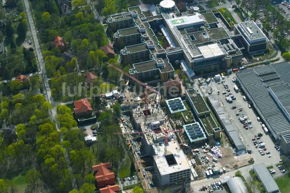 Berlin von oben - Neubau- Baustelle für ein Rehabilitationszentrum der Rehaklinik im Ortsteil Marzahn in Berlin, Deutschland