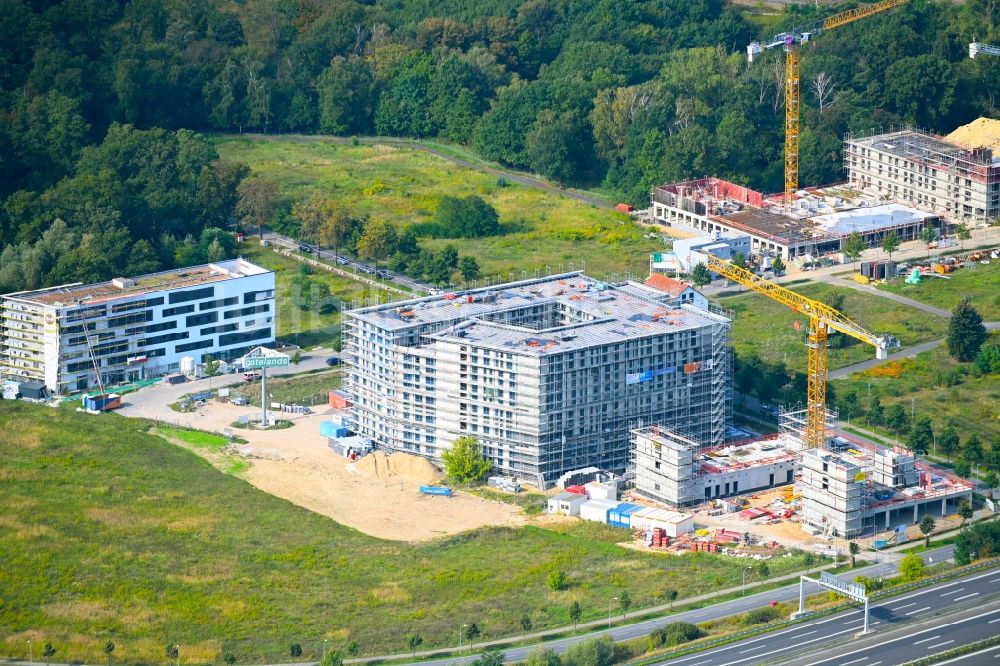 Schönefeld von oben - Neubau eines Büro- und Geschäftshauses FLEXGATE in Schönefeld im Bundesland Brandenburg, Deutschland
