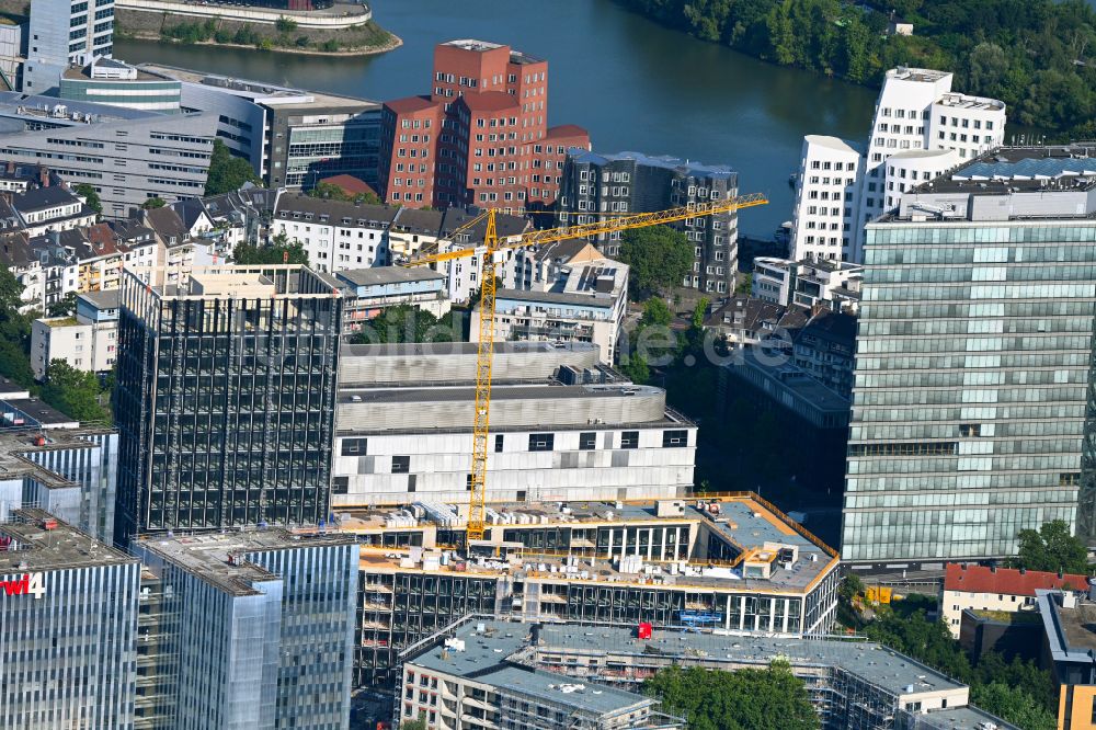 Düsseldorf aus der Vogelperspektive: Neubau eines Büro- und Geschäftshauses Pandion OfficeHome Rise in Düsseldorf im Bundesland Nordrhein-Westfalen, Deutschland