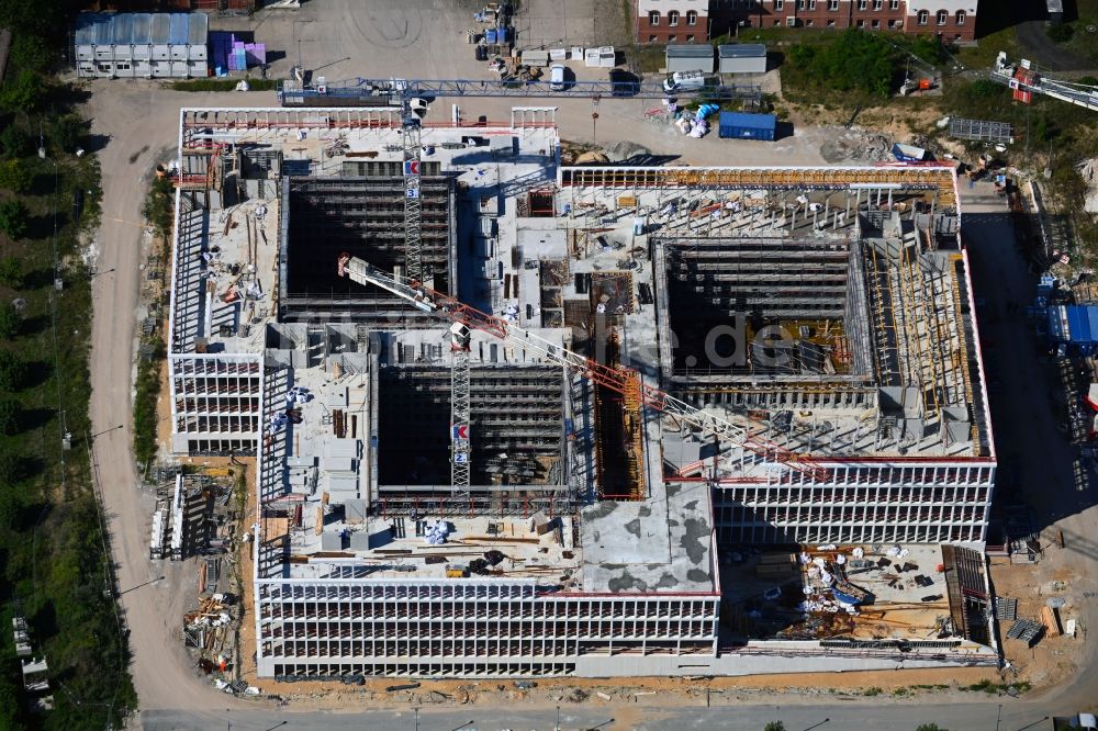 Potsdam von oben - Neubau des Bundespolizeipräsidium am Horstweg in Potsdam im Bundesland Brandenburg, Deutschland