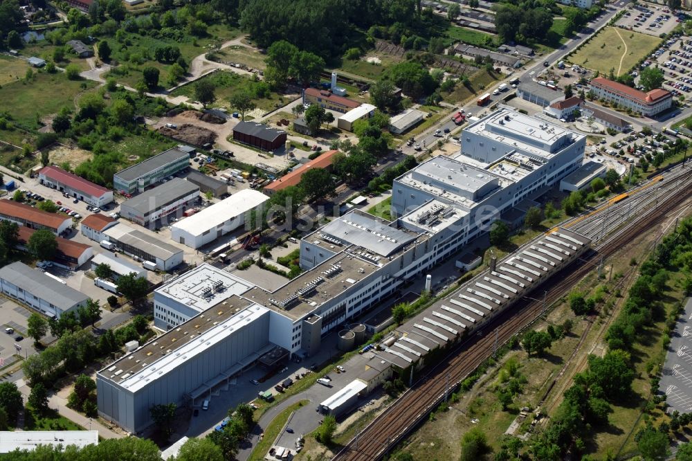 Luftaufnahme Oranienburg - Neubau und Erweiterungsbau der Takeda GmbH an der Lehnitzstraße in Oranienburg im Bundesland Brandenburg