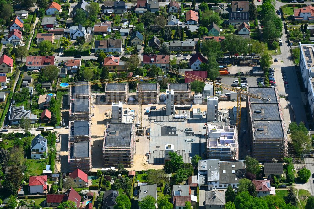 Berlin aus der Vogelperspektive: Neubau Holzbauprojekt und Mehrfamilienhaus-Wohnanlage im Ortsteil Kaulsdorf in Berlin, Deutschland