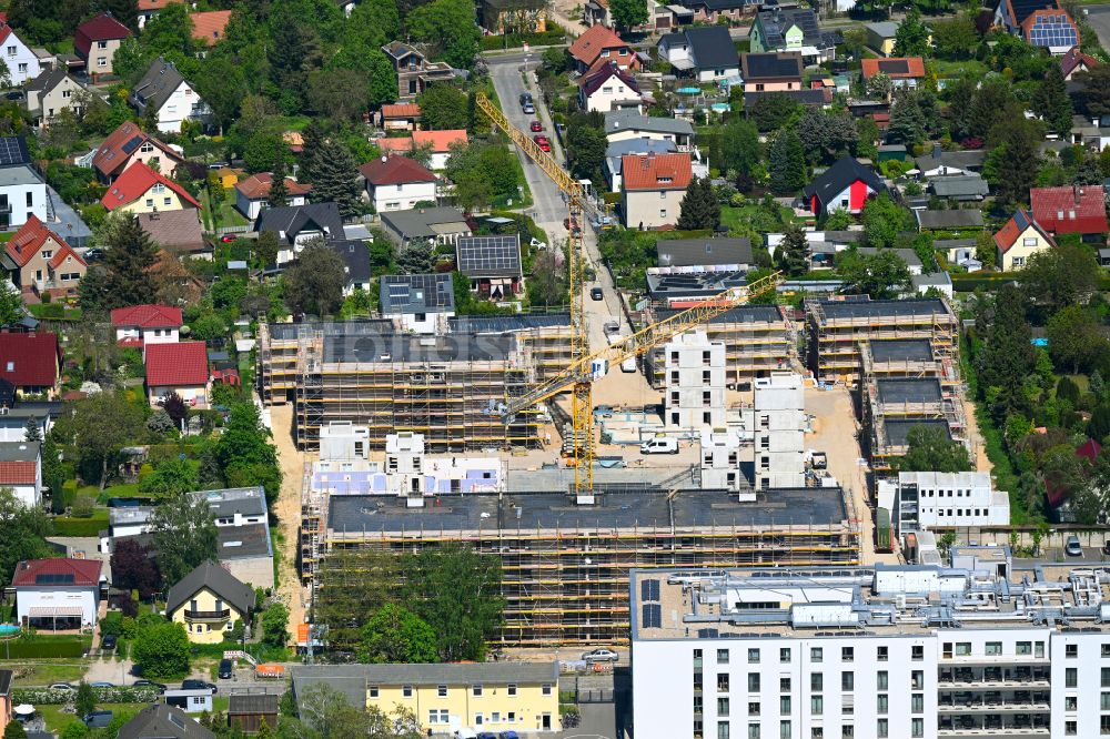 Berlin von oben - Neubau Holzbauprojekt und Mehrfamilienhaus-Wohnanlage im Ortsteil Kaulsdorf in Berlin, Deutschland