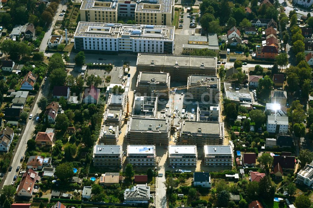 Luftbild Berlin - Neubau Holzbauprojekt und Mehrfamilienhaus-Wohnanlage im Ortsteil Kaulsdorf in Berlin, Deutschland