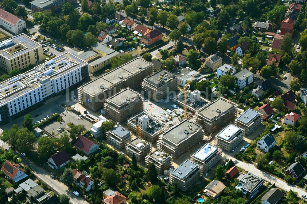 Berlin von oben - Neubau Holzbauprojekt und Mehrfamilienhaus-Wohnanlage im Ortsteil Kaulsdorf in Berlin, Deutschland