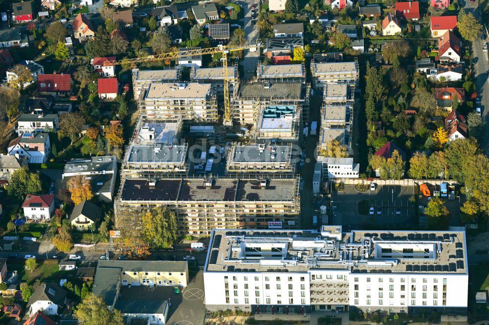 Berlin aus der Vogelperspektive: Neubau Holzbauprojekt und Mehrfamilienhaus-Wohnanlage im Ortsteil Kaulsdorf in Berlin, Deutschland