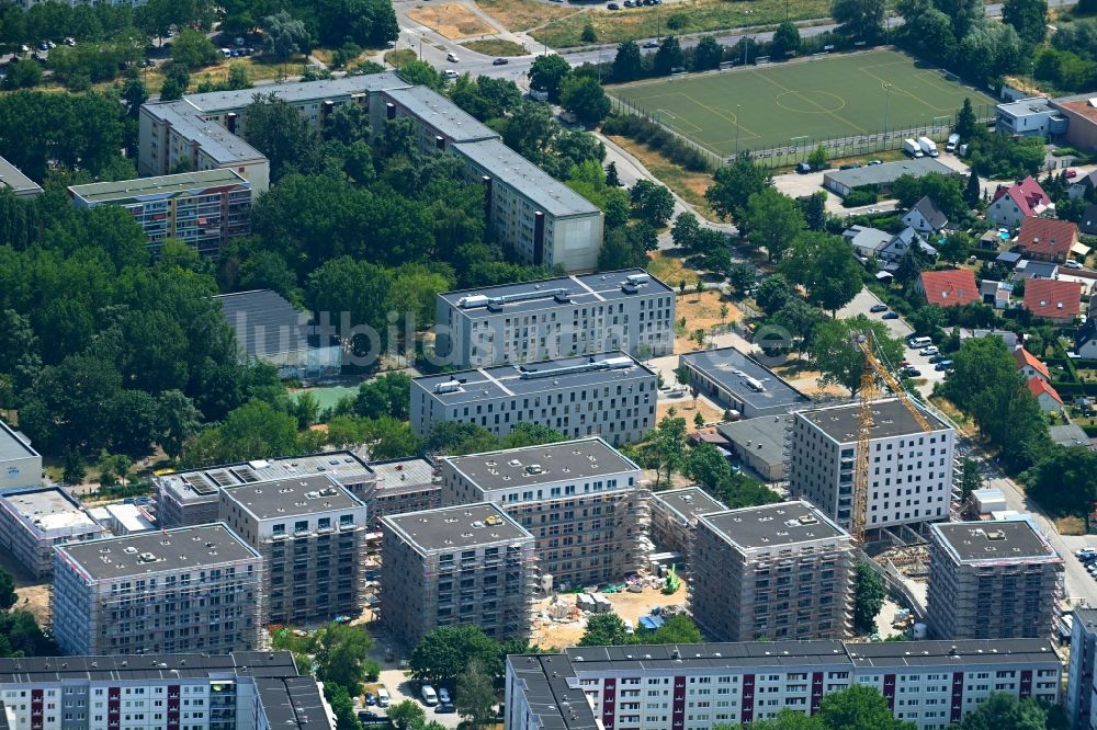 Berlin aus der Vogelperspektive: Neubau einer Mehrfamilienhaus-Wohnanlage an der Karl-Holtz-Straße im Ortsteil Marzahn in Berlin, Deutschland