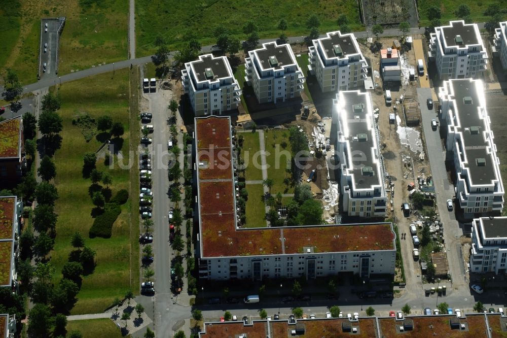 Berlin von oben - Neubau einer Mehrfamilienhaus-Wohnanlage zwischen Hasenholzer Allee, Spitzmühler Straße und dem Wiesenpark im Ortsteil Marzahn in Berlin