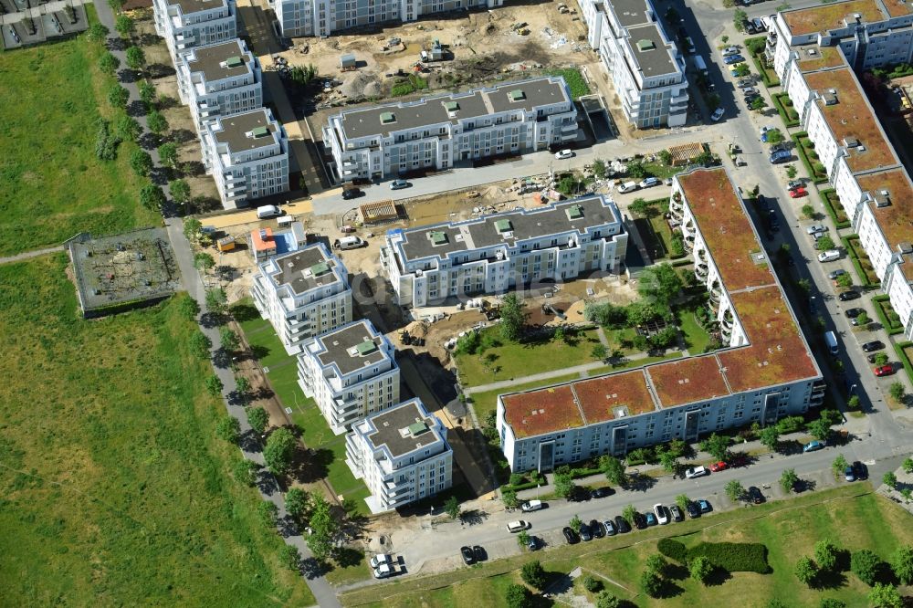 Berlin aus der Vogelperspektive: Neubau einer Mehrfamilienhaus-Wohnanlage zwischen Hasenholzer Allee, Spitzmühler Straße und dem Wiesenpark im Ortsteil Marzahn in Berlin