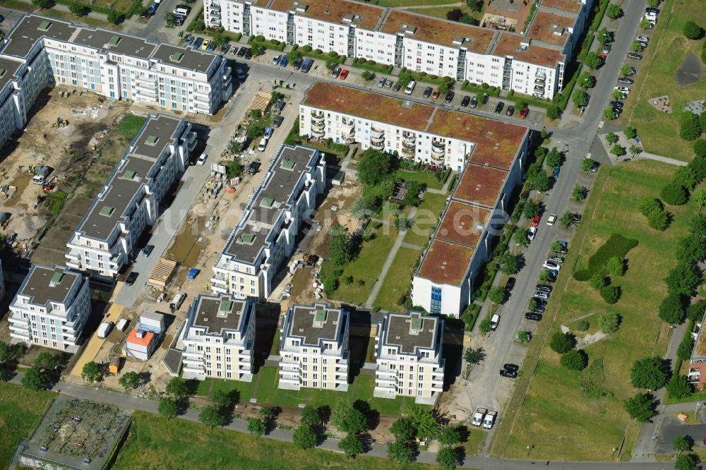 Luftaufnahme Berlin - Neubau einer Mehrfamilienhaus-Wohnanlage zwischen Hasenholzer Allee, Spitzmühler Straße und dem Wiesenpark im Ortsteil Marzahn in Berlin