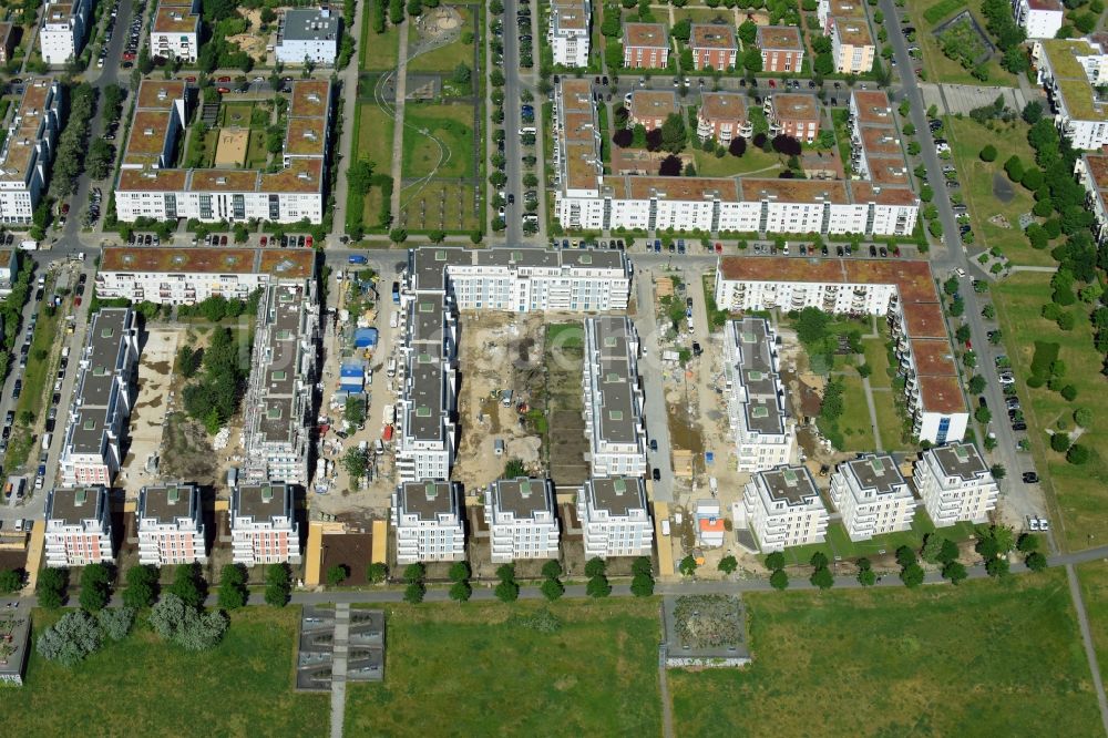 Berlin aus der Vogelperspektive: Neubau einer Mehrfamilienhaus-Wohnanlage zwischen Hasenholzer Allee, Spitzmühler Straße und dem Wiesenpark im Ortsteil Marzahn in Berlin