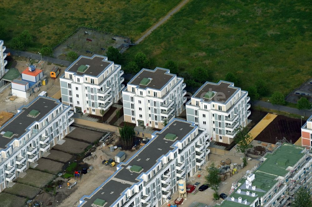 Berlin aus der Vogelperspektive: Neubau einer Mehrfamilienhaus-Wohnanlage zwischen Hasenholzer Allee und dem Wiesenpark im Ortsteil Marzahn in Berlin