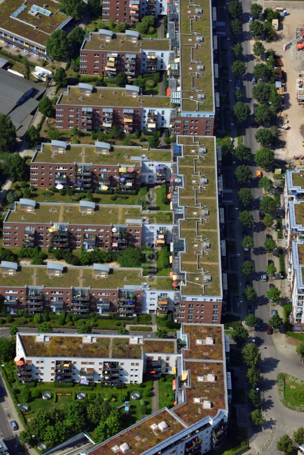 Luftbild Berlin OT Köpenick - Neubau- Reihenhaus- Siedlung auf der Halbinsel Krusenick im Ortsteil Köpenick in Berlin