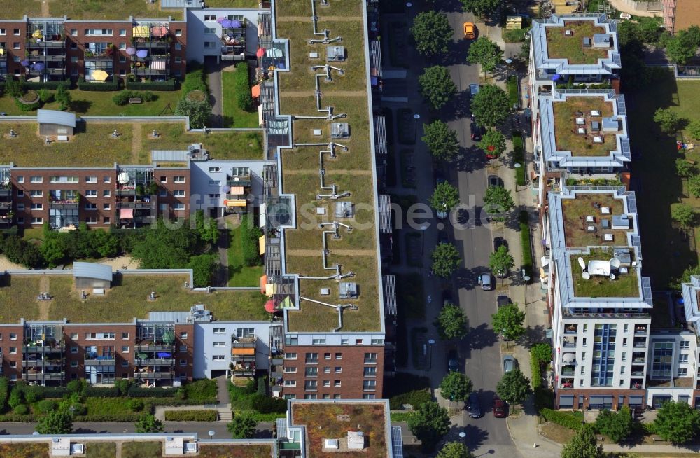 Luftaufnahme Berlin OT Köpenick - Neubau- Reihenhaus- Siedlung auf der Halbinsel Krusenick im Ortsteil Köpenick in Berlin